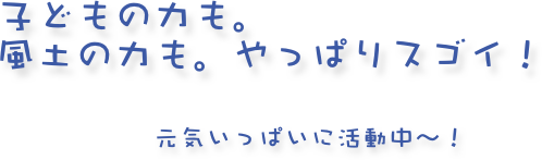 子どもの力も。
風土の力も。やっぱりスゴイ！

　　　　元気いっぱいに活動中〜！


